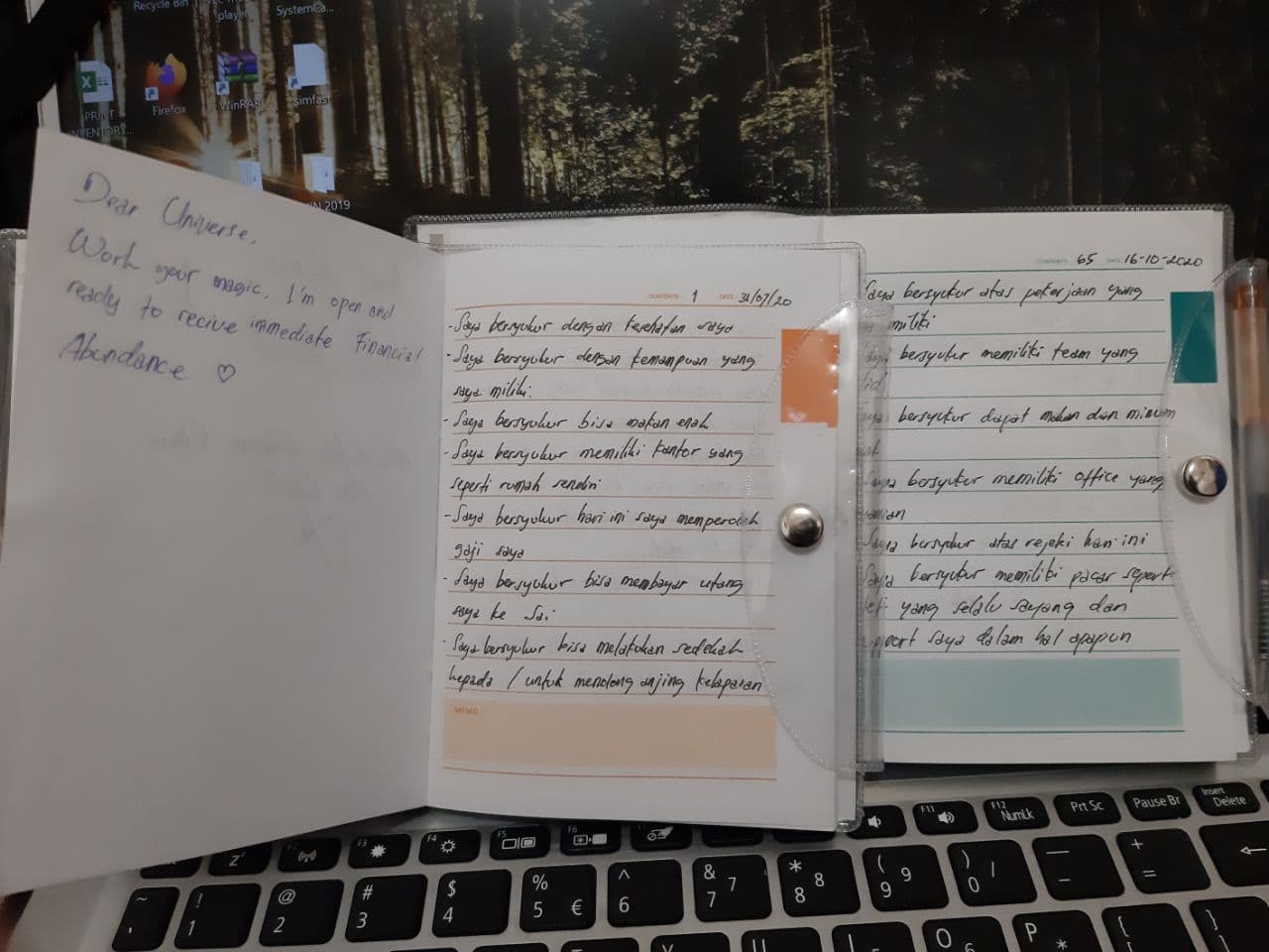 My Gratitude Journals